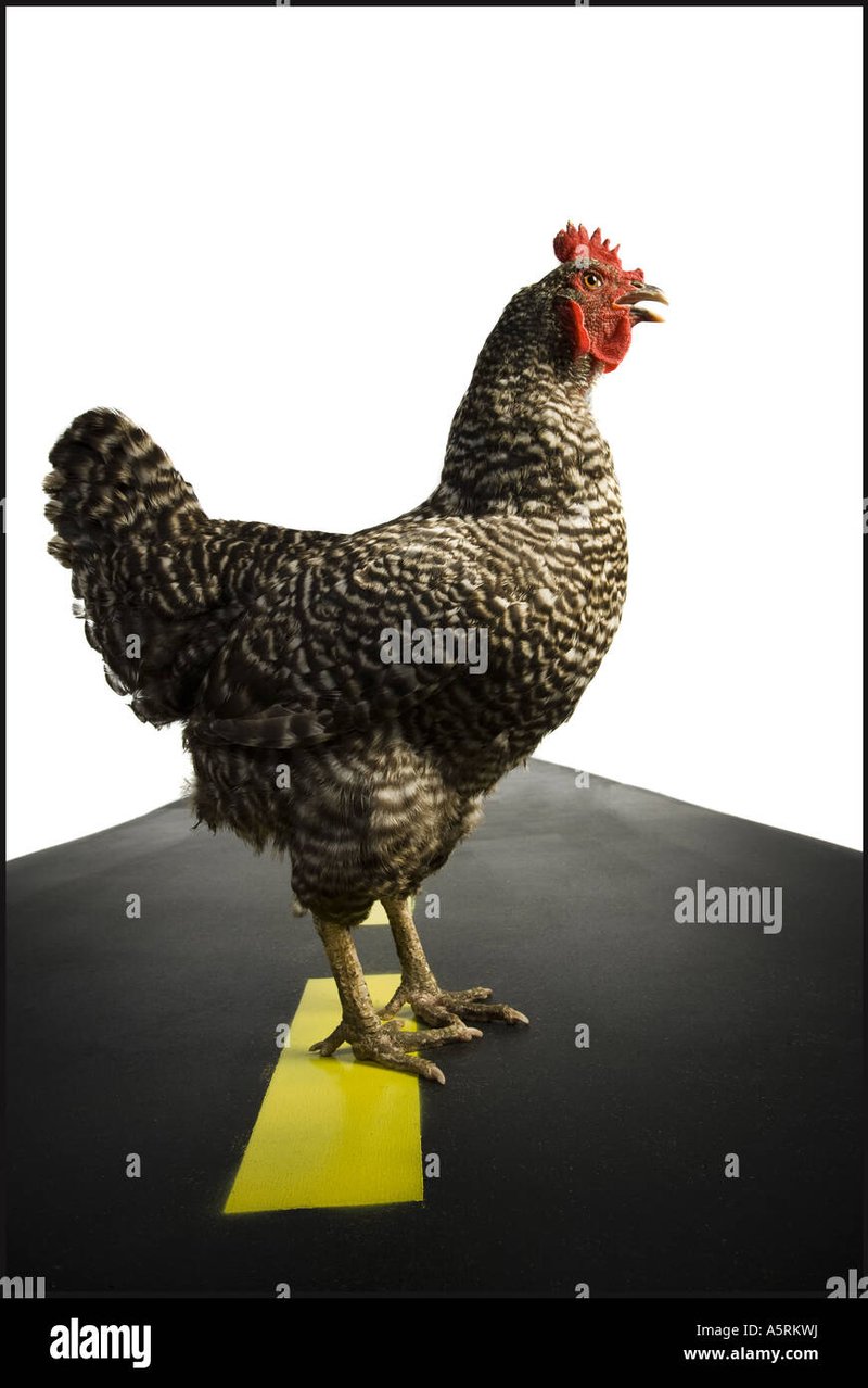 Explore jugar chicken road